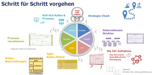 Organisation Strukturen Prozesse Rollen Beratung