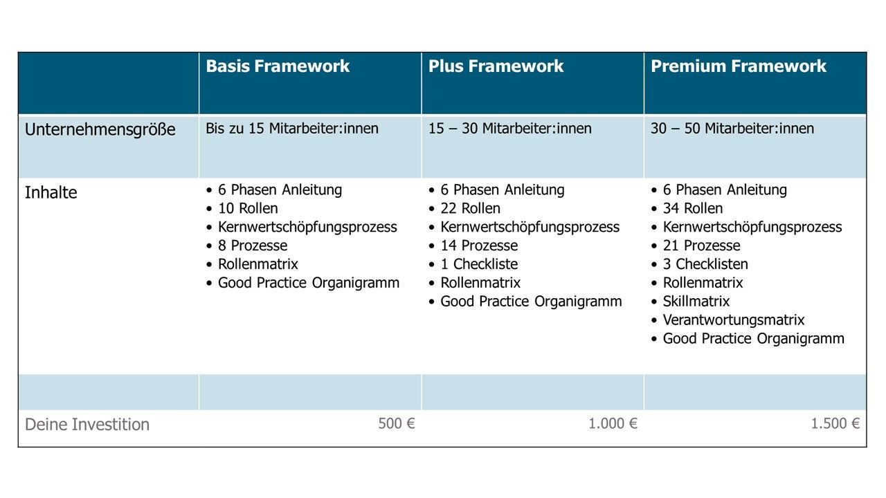 Rollen Prozesse Framework Beratung UBEGA